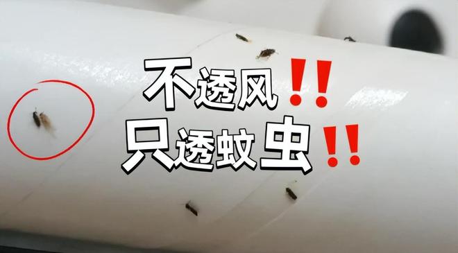 “大垃圾”不是瞎说而是扔都嫌麻烦！EVO视讯真人再有钱也别买这7样