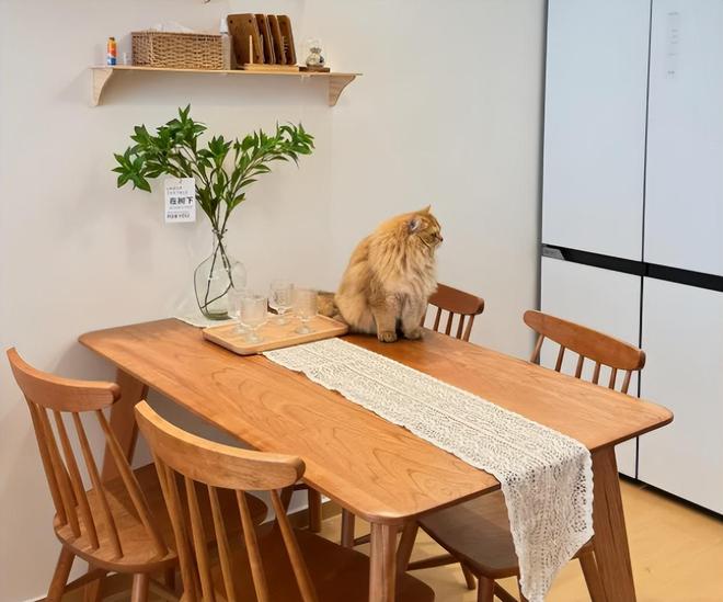 “大垃圾”不是瞎说而是扔都嫌麻烦！EVO视讯真人再有钱也别买这7样(图12)